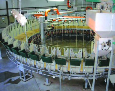 WhatsApp Image 2022-10-13 at 03.52.09