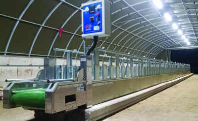 WhatsApp Image 2022-10-13 at 03.52.46