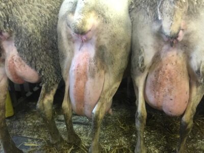 WhatsApp Image 2022-10-13 at 03.55.08 (2)