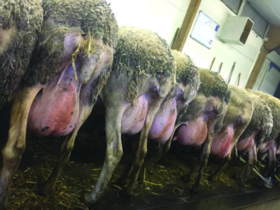 WhatsApp Image 2022-10-13 at 03.55.08