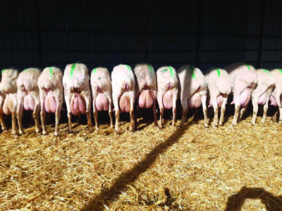 WhatsApp Image 2022-10-13 at 03.55.09