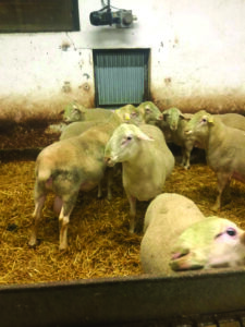 WhatsApp Image 2022-10-13 at 03.57.31 (1)