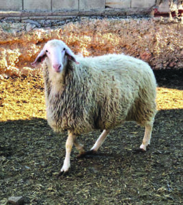 WhatsApp Image 2022-10-13 at 03.57.31